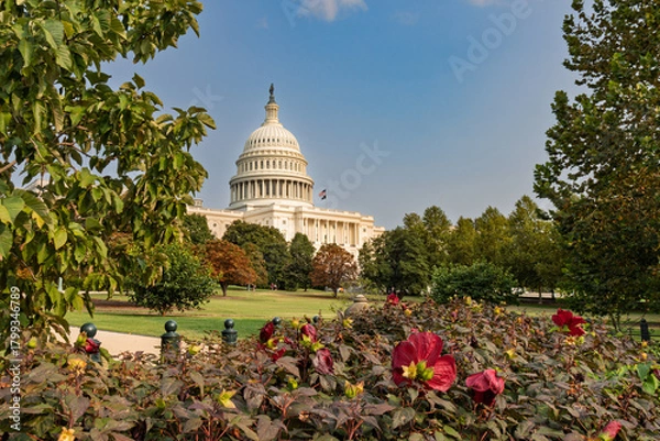 Obraz Blumen vor dem Capitol