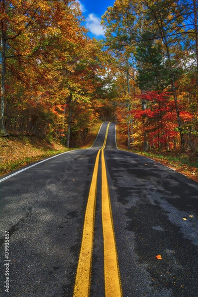 Obraz Canyon Rim Drive