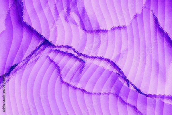 Fototapeta Abstract purple banana leaf texture background with curved lines pattern