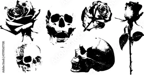 Fototapeta Skull and rose illustrations in black and white. Vector set showcasing floral and graphic elements with a dramatic aesthetic.