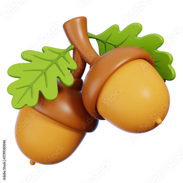 Fototapeta 3D Acorn Nuts with Leaves Isolated.