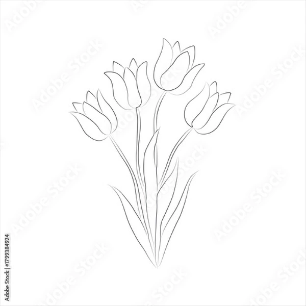 Fototapeta Elegant Hand-Drawn Tulip Flower Outline Design
