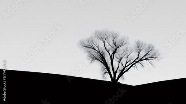 Fototapeta Lone silhouetted tree standing on a hill representing minimalism, solitude, tranquility, and growth in winter landscape