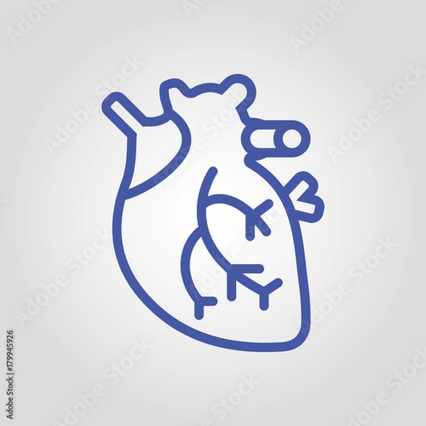 Fototapeta Anatomical real heart isolated flat vector linear icon