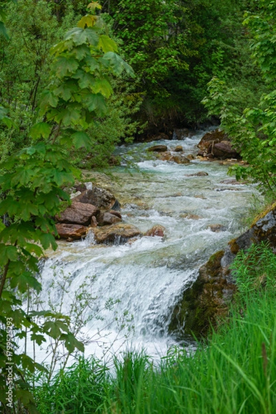 Obraz Clear mountain stream flowing over rocks, forming a small waterfall surrounded by lush green vegetation and forest plants in a peaceful natural landscape.
