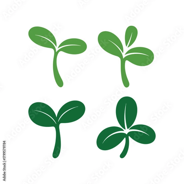 Fototapeta Vector illustrations of young green sprouts, sapling, seed growth icons set.