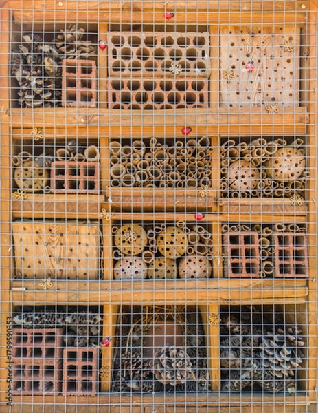 Fototapeta Wooden bug house at public park