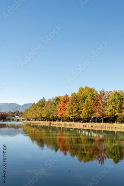 Obraz 담양 관방제림