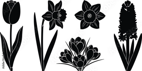 Obraz Silhouette collection of spring flowers including tulip, daffodil, narcissus, crocus, and hyacinth isolated on white background for botanical design elements