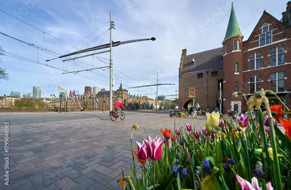 Fototapeta Street view in the center of Hague, Netherlands