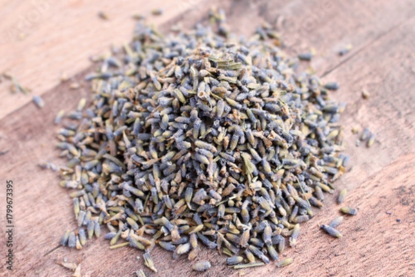 Fototapeta ドライラベンダー