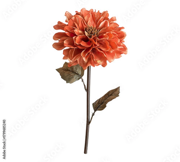 Obraz A large orange flower with a brown stem
