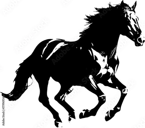 Fototapeta A dynamic black silhouette of a horse  exuding grace and strength against a clean white backdrop