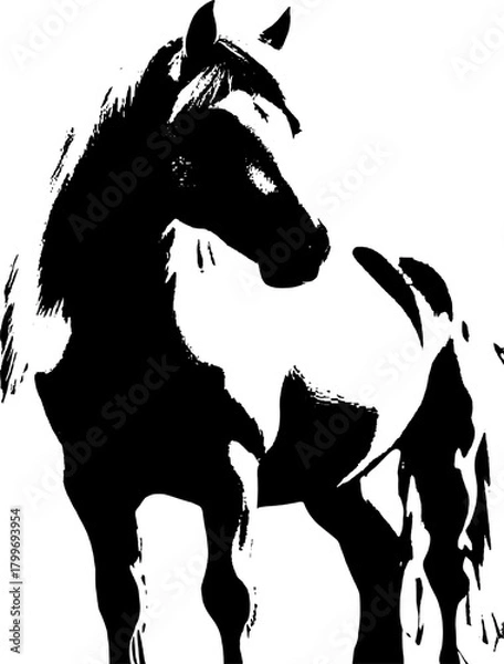 Fototapeta A dynamic black silhouette of a horse  exuding grace and strength against a clean white backdrop