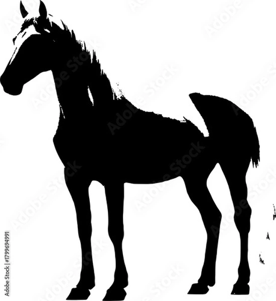 Obraz A dynamic black silhouette of a horse  exuding grace and strength against a clean white backdrop