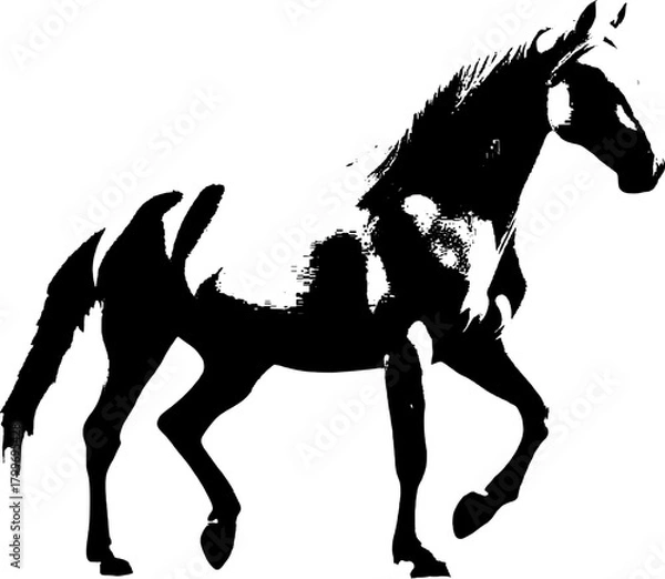 Fototapeta A dynamic black silhouette of a horse  exuding grace and strength against a clean white backdrop