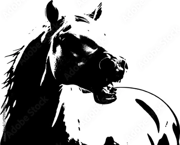 Fototapeta A dynamic black silhouette of a horse  exuding grace and strength against a clean white backdrop