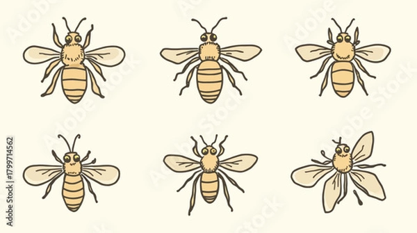 Obraz Collection of six hand-drawn bee illustrations in various poses and styles