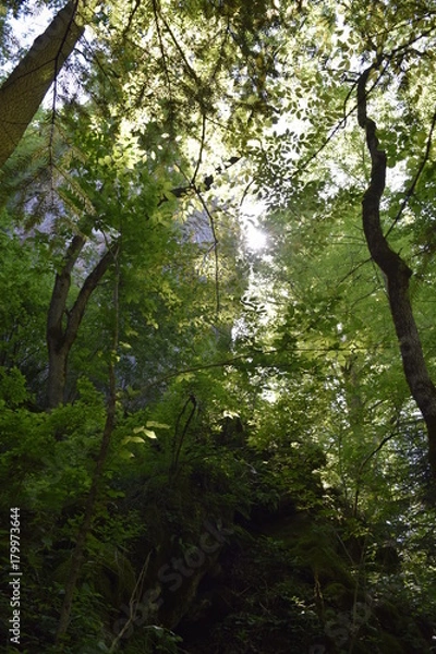 Fototapeta ущелье