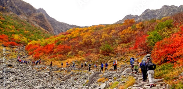 Obraz 日本、長野県、北アルプス、穂高、涸沢カール、絶景、秋、登山