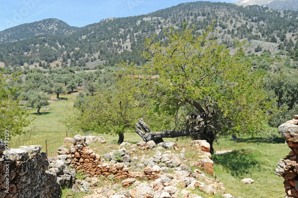 Fototapeta Le village abandonné d'Aradaina près d'Anopoli dans les Sfakia en Crète