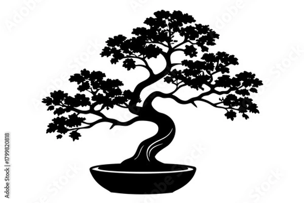 Obraz Bonsai Tree