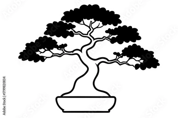 Obraz Bonsai Tree