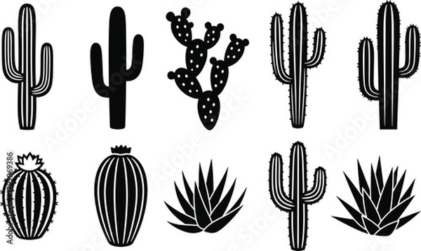 Fototapeta Stylized cactus and succulent plant vector set, black and white botanical illustration, desert flora silhouette, minimal nature graphic collection
