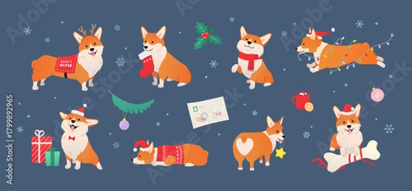 Obraz Cute Christmas Corgi Vector Set. Holiday Dog characters and Christmas Decor. Adorable pet wearing holiday outfits and Santa's hat in different poses