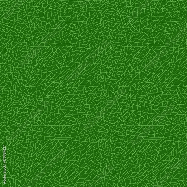 Obraz plant leaf texture. seamless pattern background. vector illustration.