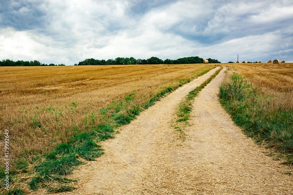 Obraz Cartway in rural area on a orange field