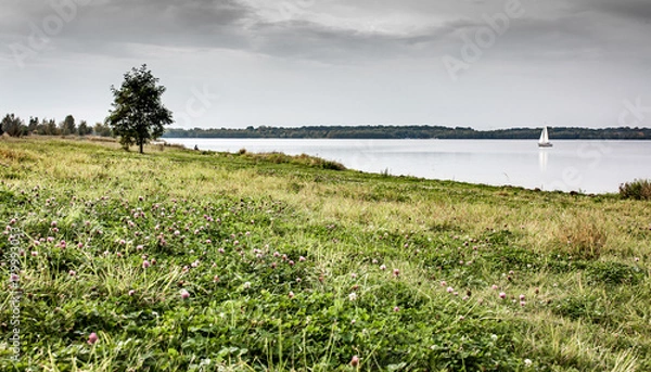 Obraz Green grass and tree on a lake with a boat on the water