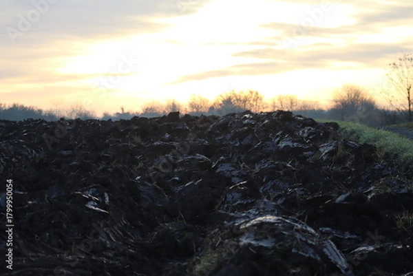 Obraz Furrows in the Dawn