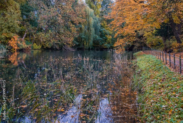 Obraz A Park in Autumn