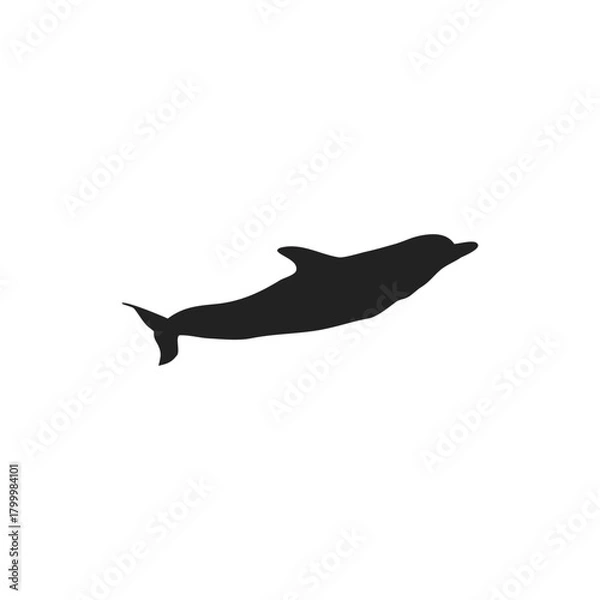 Obraz dolphin silhouette vector icon illustration