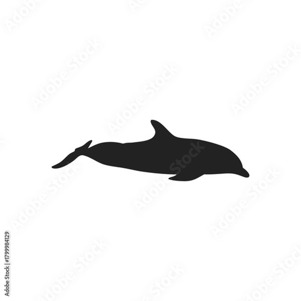 Obraz dolphin silhouette vector icon illustration