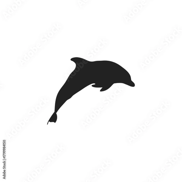 Obraz dolphin silhouette vector icon illustration