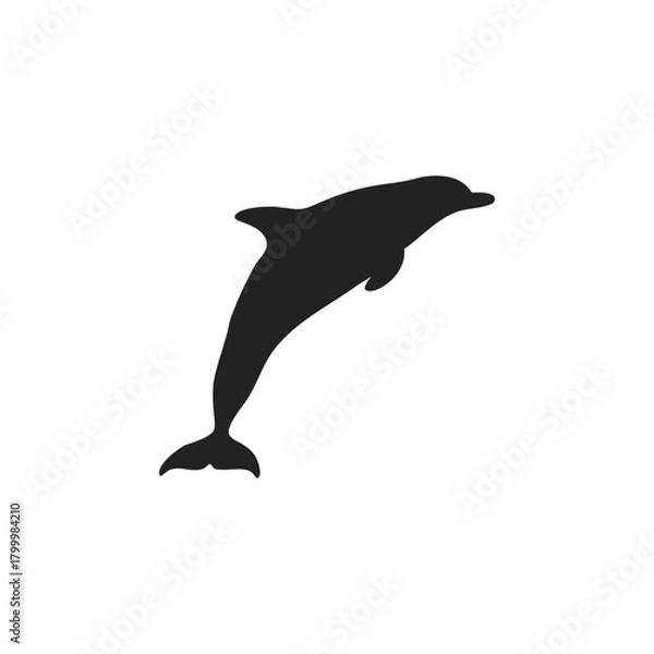 Obraz dolphin silhouette vector icon illustration