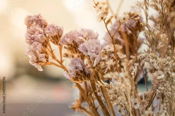 Obraz dry purple flower