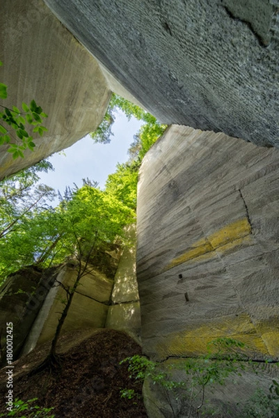 Fototapeta Sunlit Sandstone Walls and Towering Cliffs Framed by Lush Forest Canopy - Dramatic Upward View in a Quarry Gorge