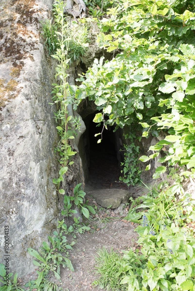 Fototapeta Overgrown cave entrance in sandstone cliff surrounded by lush green foliage