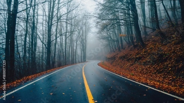Fototapeta Fog-Laden Woodland Path | Yellow Stripe Perspective
