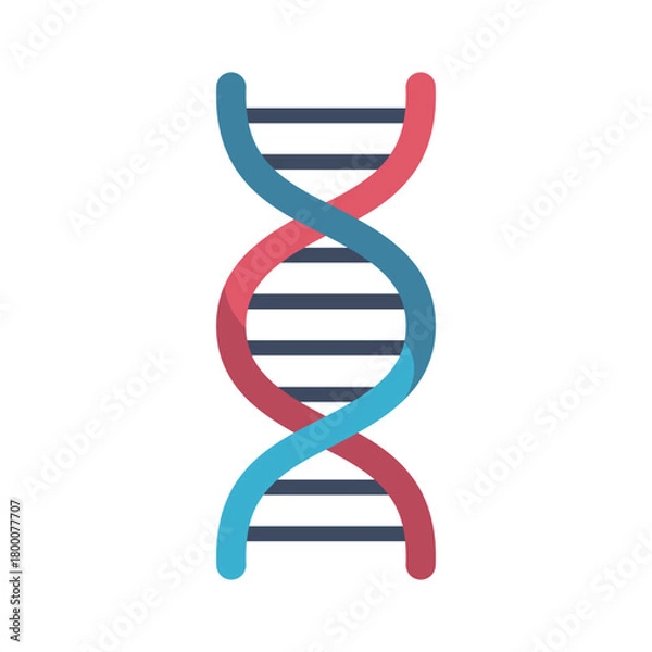 Obraz Flat clipart Genetic DNA spiral, Biology Medical Genetic Helix Science, Biotechnology Strand Analysis Vector Illustration