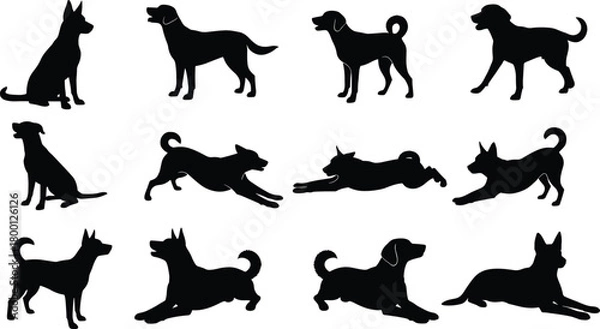 Obraz Dog silhouette vector set, canine poses and movements, black flat design, pet illustration, sitting running jumping lying down