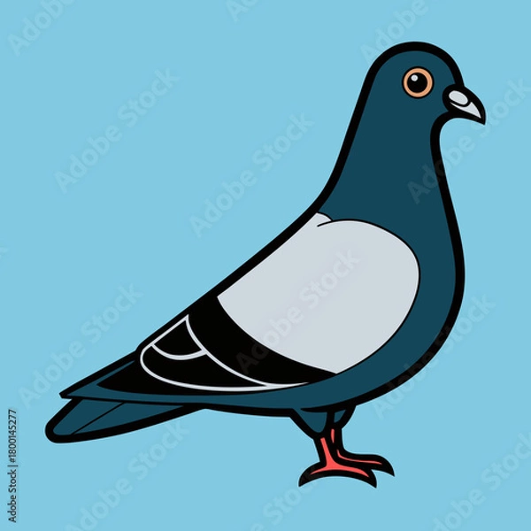 Fototapeta Stylized cartoon pigeon standing against a blue background