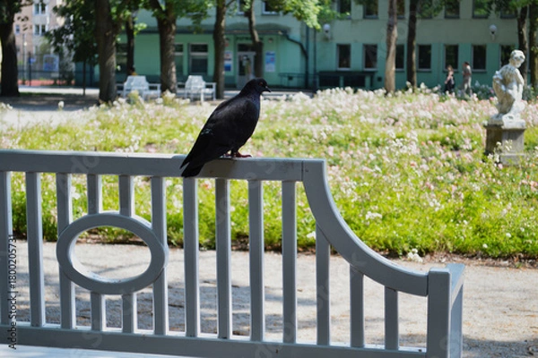 Fototapeta Historic Garden with Red Roses and Stone Statue. A picturesque view of a lush, formal garden featuring vibrant red roses and manicured green hedges, set against an old stone wall. 