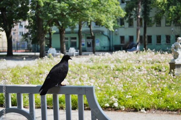 Fototapeta Historic Garden with Red Roses and Stone Statue. A picturesque view of a lush, formal garden featuring vibrant red roses and manicured green hedges, set against an old stone wall. 