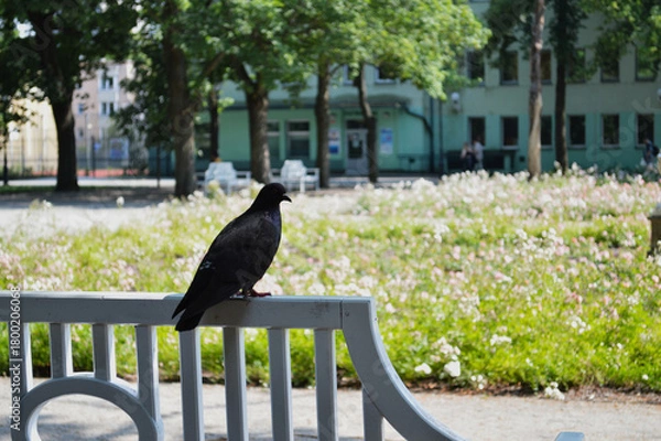 Fototapeta Historic Garden with Red Roses and Stone Statue. A picturesque view of a lush, formal garden featuring vibrant red roses and manicured green hedges, set against an old stone wall. 