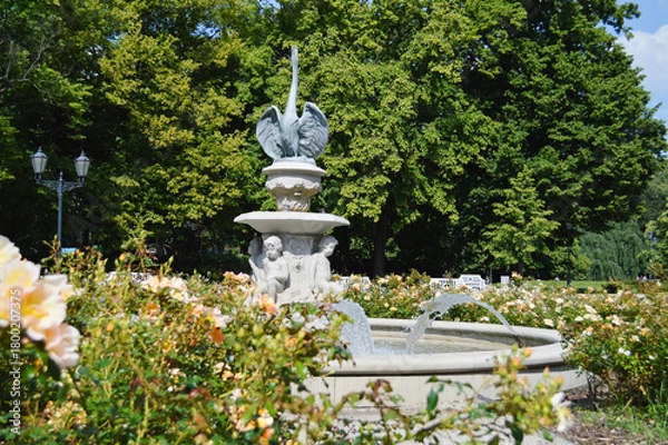 Fototapeta Fountain Among Blooming Roses. A decorative stone fountain with sculpted cherub-like figures pours clear streams of water into a circular basin, surrounded by blooming roses and greenery