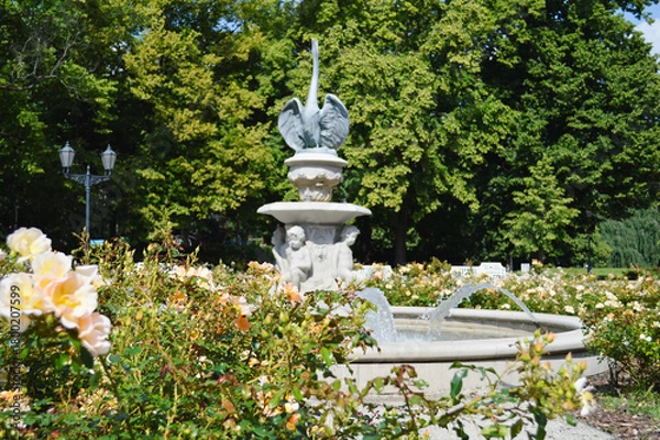 Fototapeta Fountain Among Blooming Roses. A decorative stone fountain with sculpted cherub-like figures pours clear streams of water into a circular basin, surrounded by blooming roses and greenery